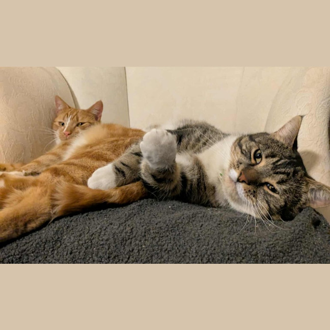 Photo of Tokyo & Miso 