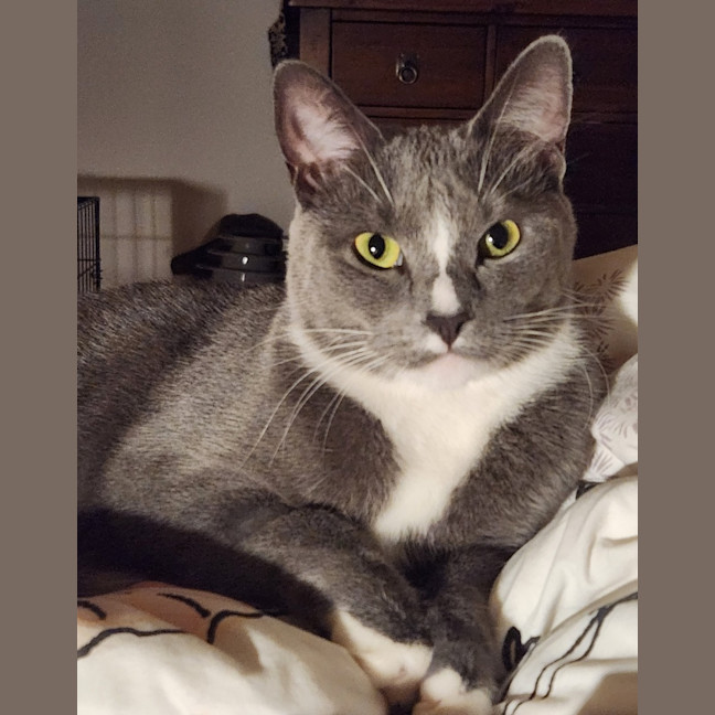 Photo of Still Water 