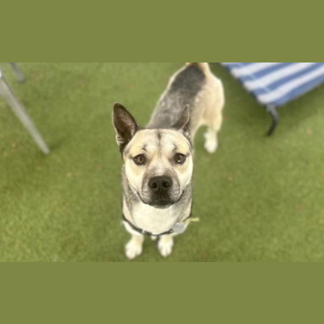 Photo of Hugo