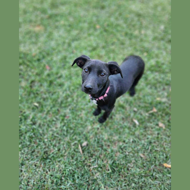 Photo of Vera