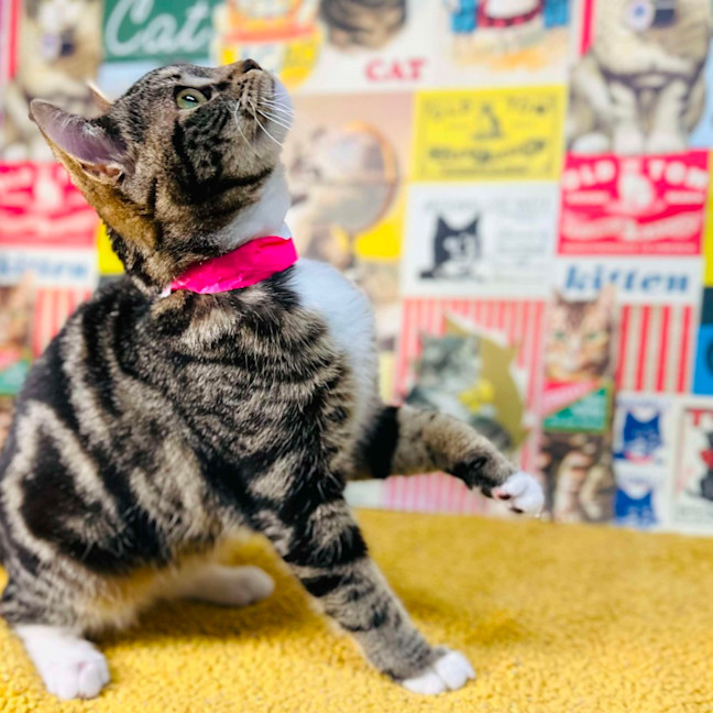 Photo of Taylor   Located In Preston