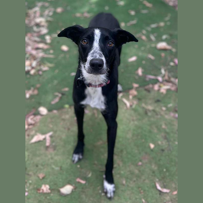 Photo of Missy