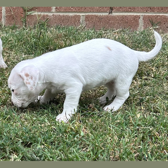 Photo of Gyn (Was Luna)