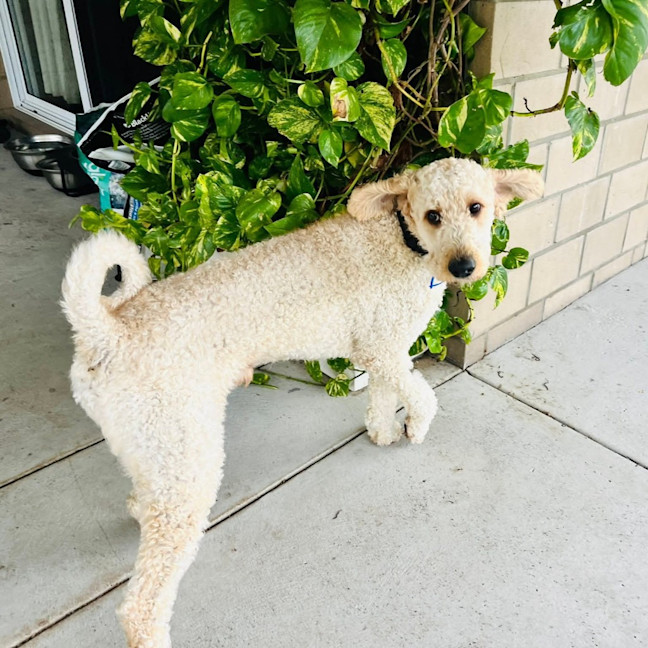 Photo of Mo