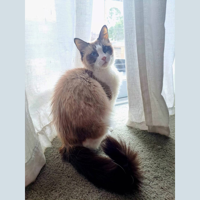 Photo of Aura