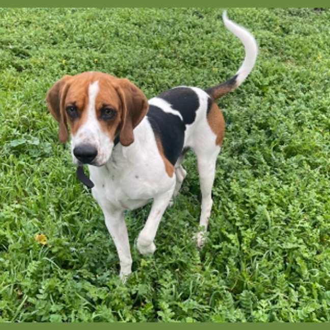 Photo of Wally