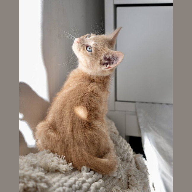 Photo of Bingo