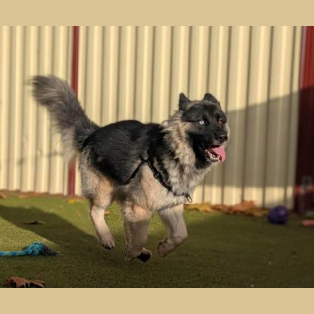Photo of Tia