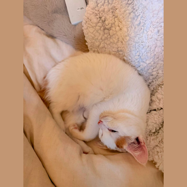 Photo of Kira