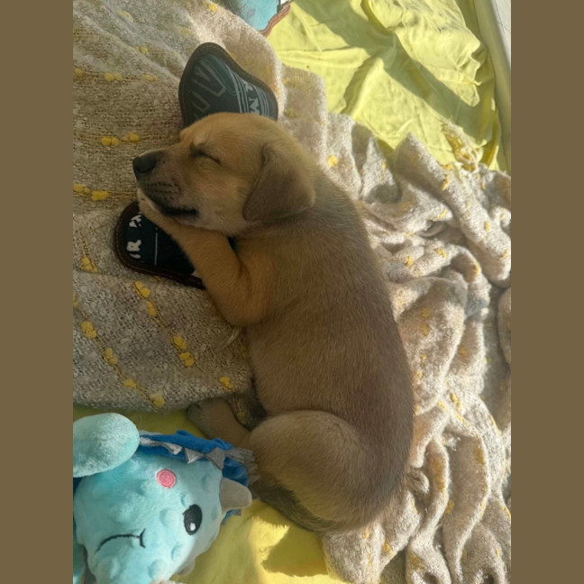 Photo of Kira