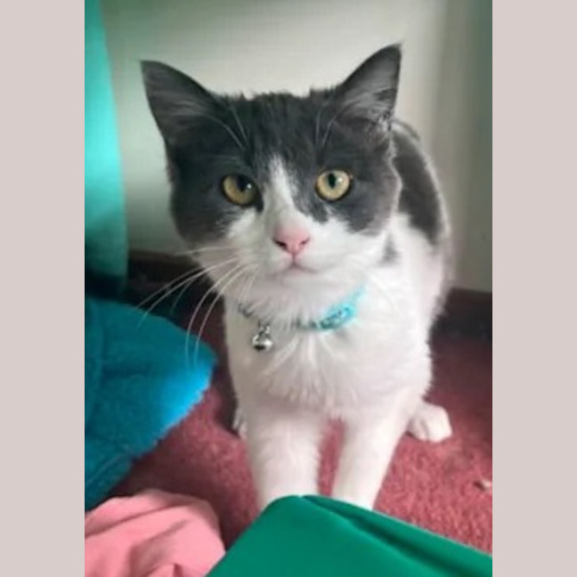 Photo of Rosie Dancer