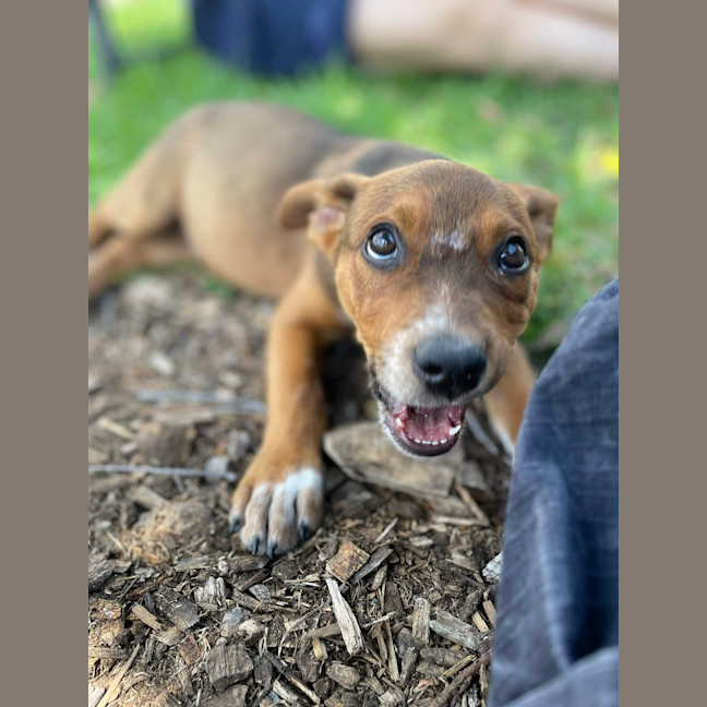 Photo of Billy