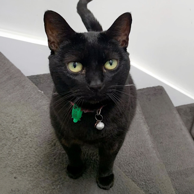 Photo of Cooper & Poh