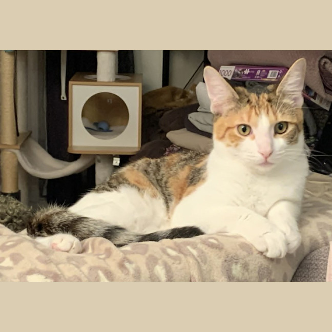 Photo of Dottie