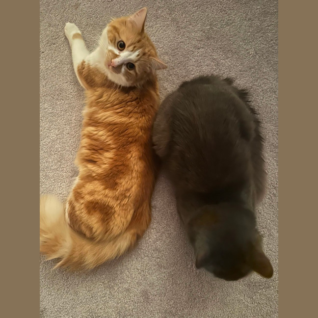 Photo of Jinji