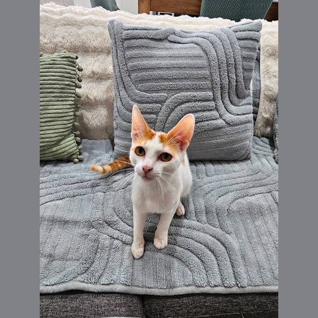 Photo of Sam