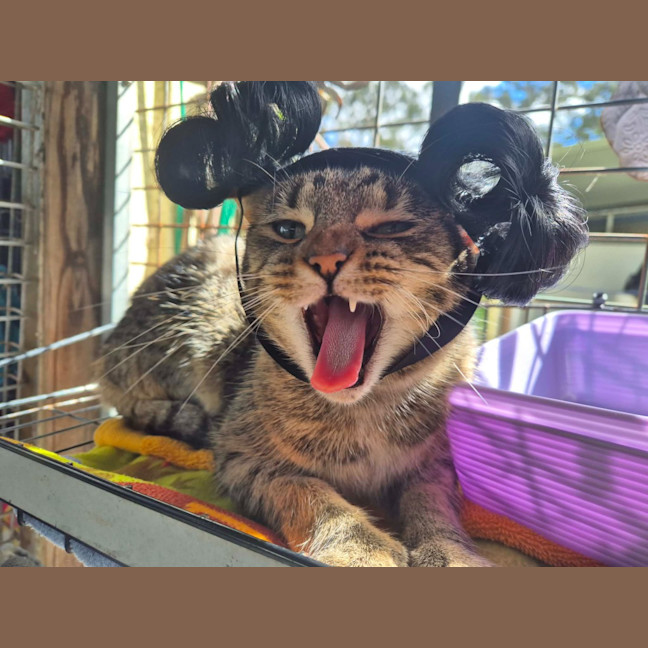 Photo of Gabby