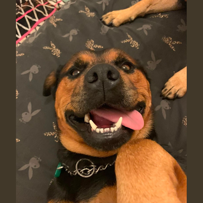 Photo of Ally And Lilly