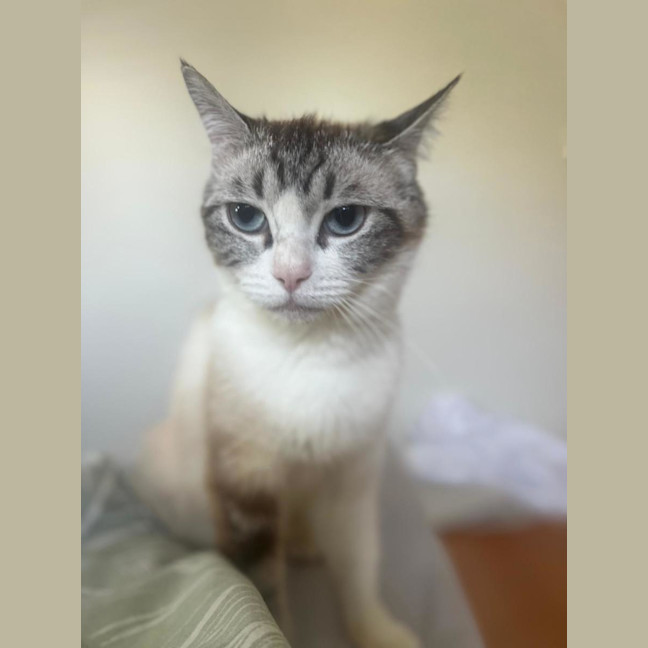 Photo of Lucy 