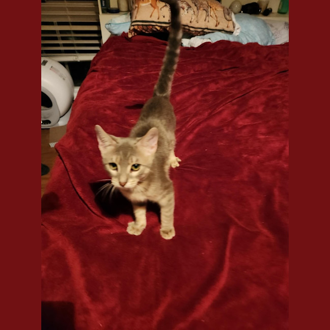 Photo of Ridoc