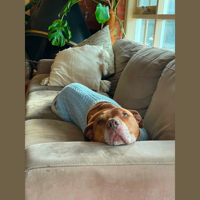 Photo of Kenai