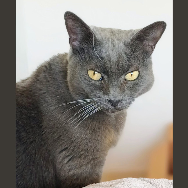 Photo of Alice