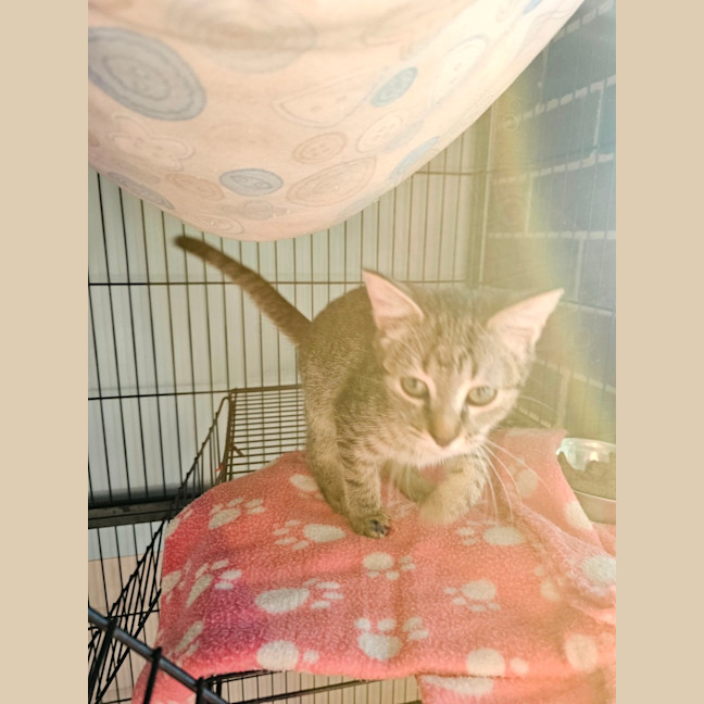 Photo of Zoe