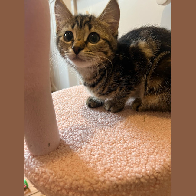 Photo of Winnie
