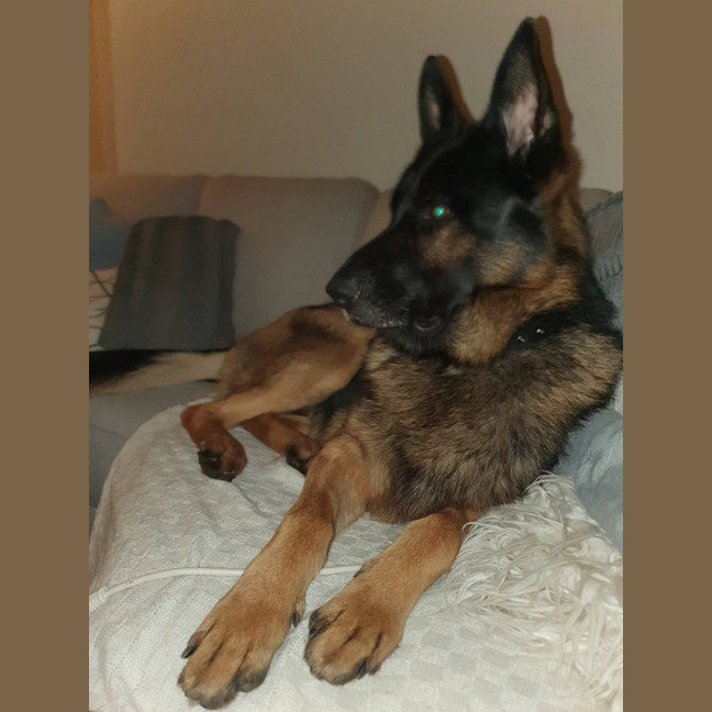 Photo of Mack