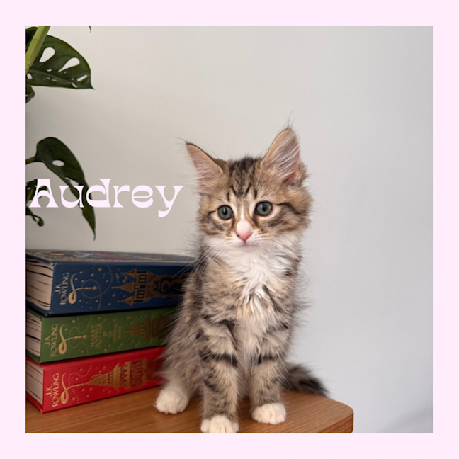 Photo of Audrey