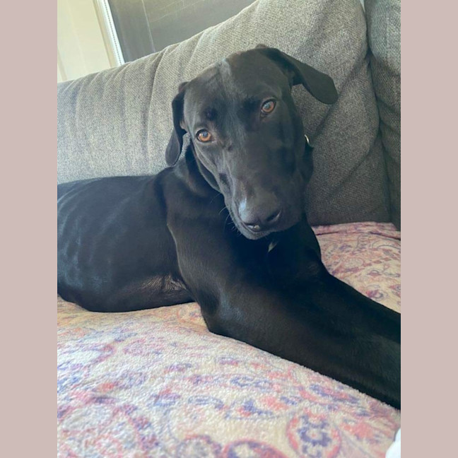 Photo of Maggie 🌻