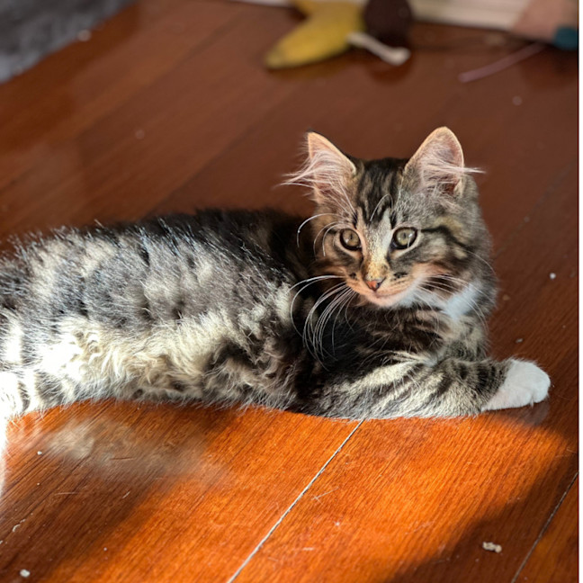 Photo of Edmond