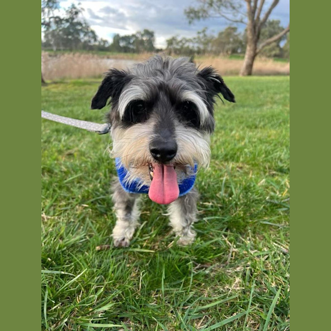 Photo of Ruth And Remi