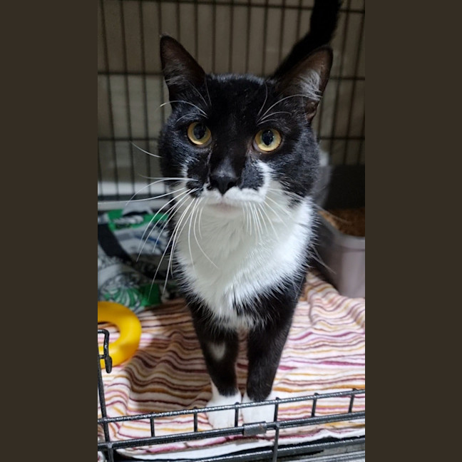 Photo of Jasper