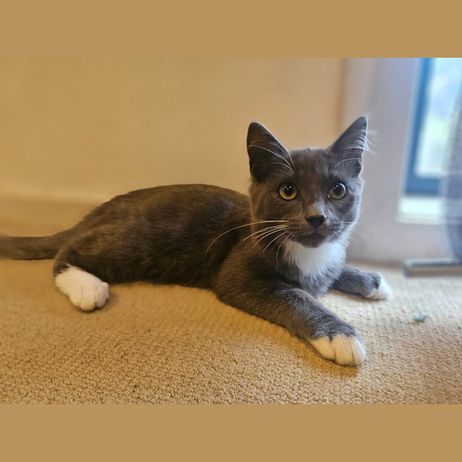 Photo of Wilbur