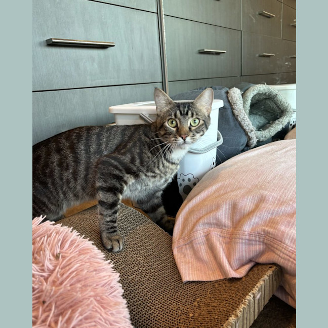 Photo of Gus