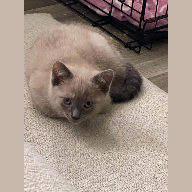 Photo of Albie