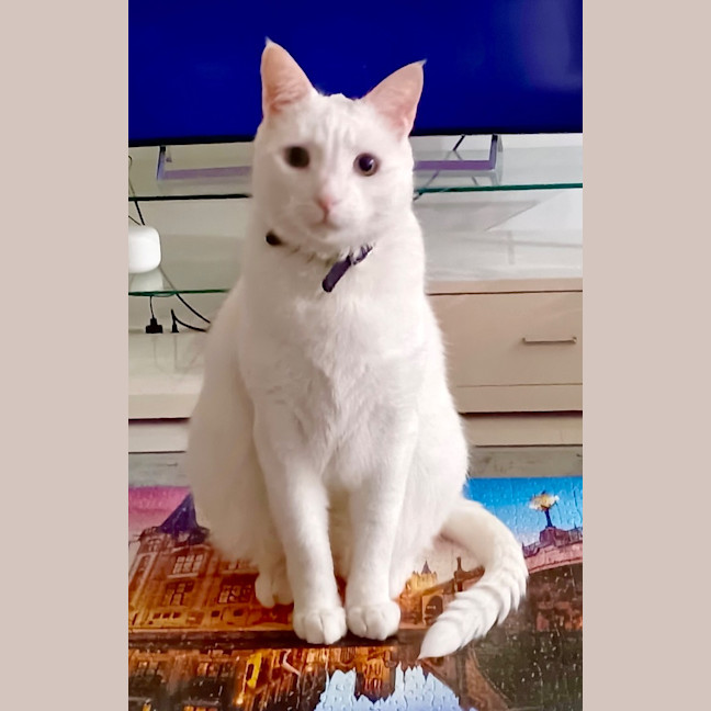Photo of Barfi