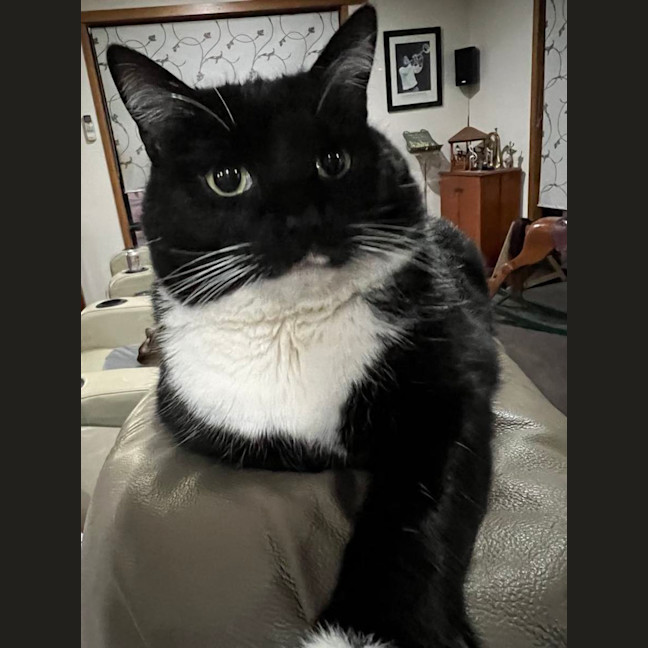 Photo of Nikita Aka Nikki