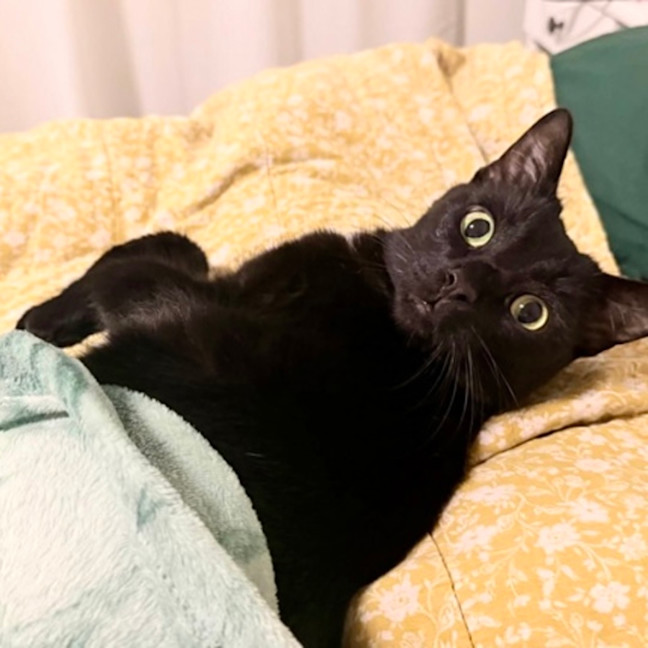 Photo of Phineas