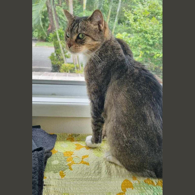 Photo of Josie