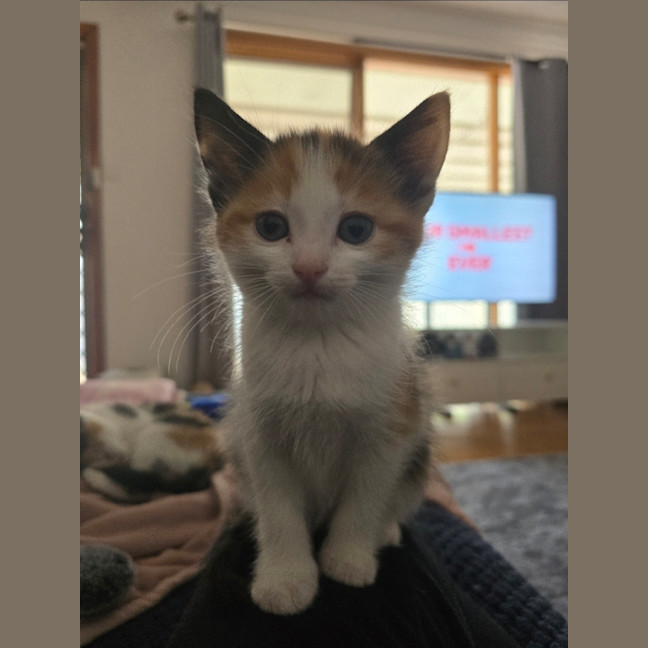Photo of Rikki