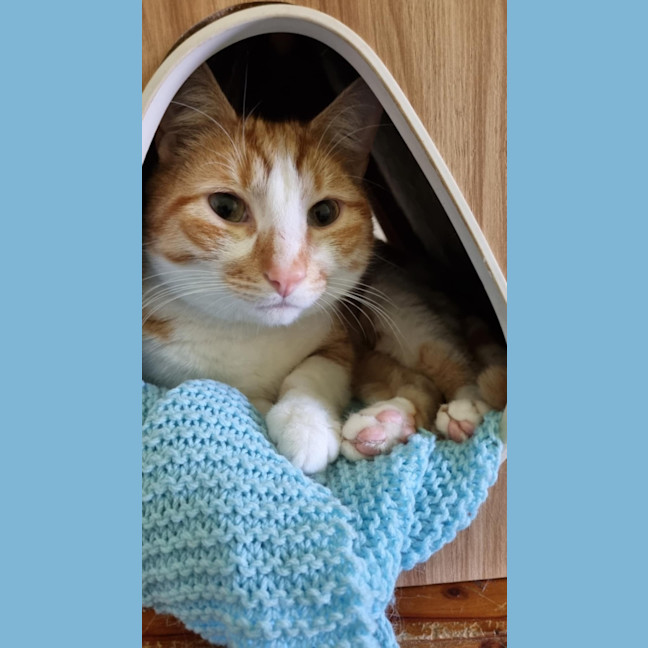 Photo of Toby And Logan 