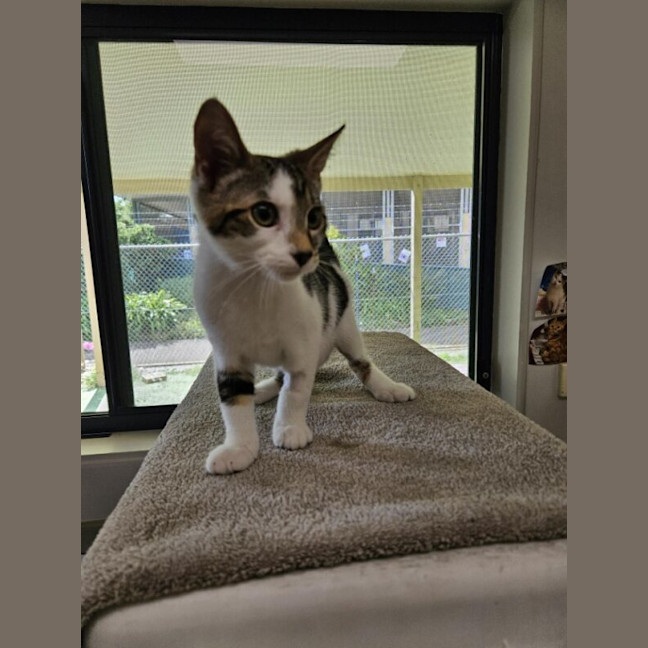 Photo of Spice