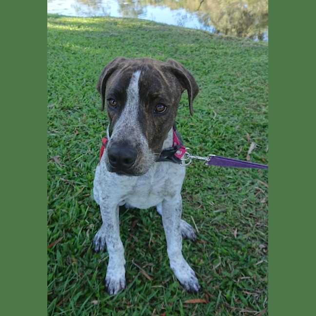 Photo of Oliver