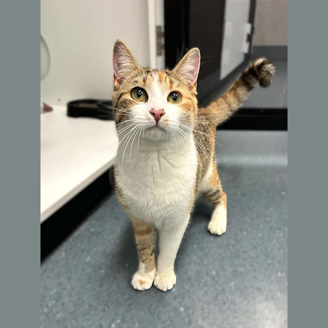 Photo of Matilda