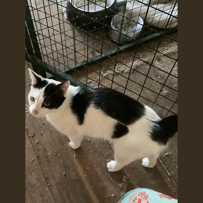 Photo of Matilda