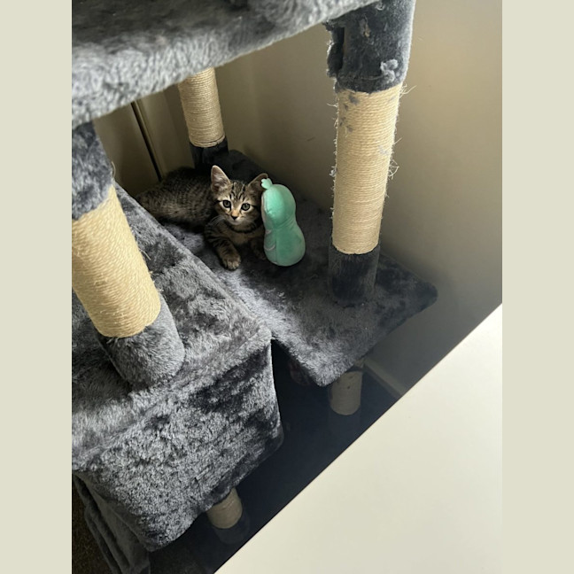 Photo of Odie N Dawn