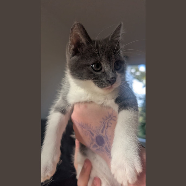 Photo of Gigi