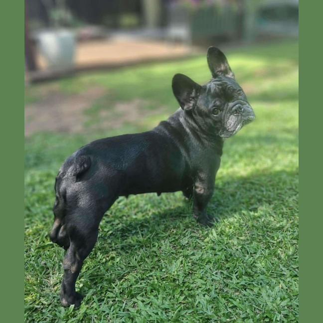 Photo of Darby & Remy